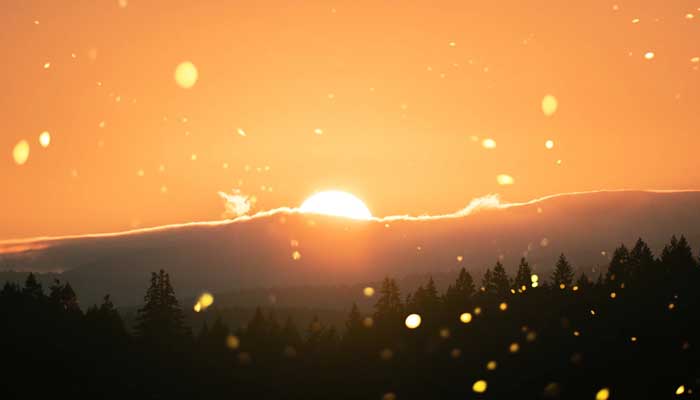 Berapa Hari Rasulullah Puasa di Bulan Sya'ban? 1 Shalat Isyraq