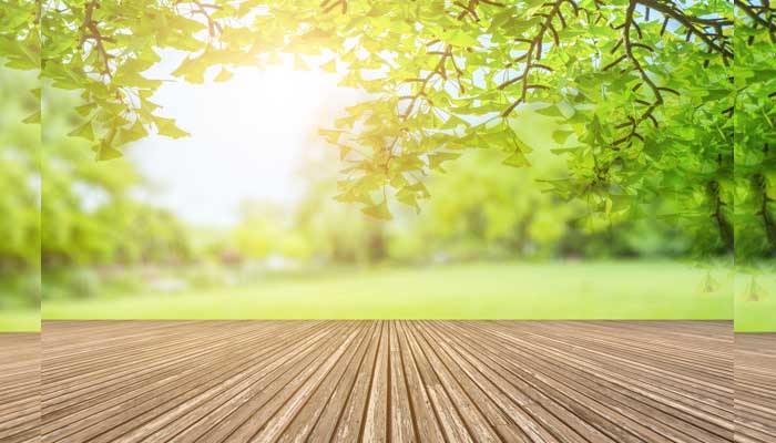 Keberkahan Mencari Ilmu di Pagi Hari 1 Foto: Freepik