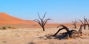 Kemunafikan Zaman Sekarang Lebih Buruk Ketimbang Zaman Nabi, Apa Maksudnya? 15 Ilustrasi. Foto: WWF