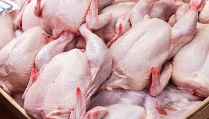 Ini 12 Tips Menyimpan Bahan Makanan agar Awet dan Tahan Lama 4 Ini 12 Tips Menyimpan Bahan Makanan agar Awet dan Tahan Lama 3