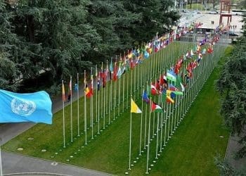 Ilustrasi. Foto: Anadolu Agency