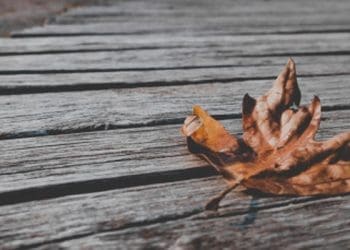 Kedudukan Perempuan, Hukum Menikah dalam Kondisi Hamil, Asiyah, Ciri-Ciri Wanita Penghuni Surga, Hukum Mengaku Masih Gadis, Perkara yang Bisa Menyeret Wanita ke Neraka