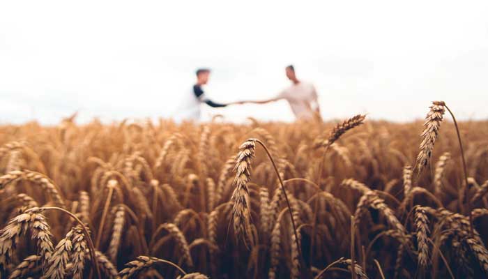 Gadai dalam Islam 1 Foto: Unsplash