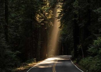 Foto: Unsplash