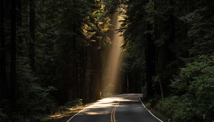 Pendapat yang Rajih Namun Tidak Difatwakan 1 Foto: Unsplash