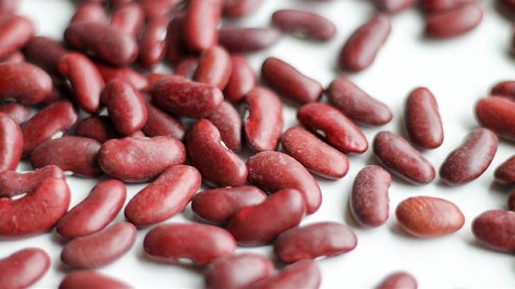 10 Manfaat Kacang Merah untuk Tubuh 1 10 Manfaat Kacang Merah untuk Tubuh 1