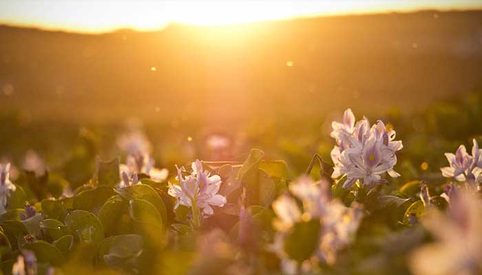 Rezeki Mencari Pemiliknya 1 Foto: Unsplash