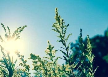 Foto: Unsplash