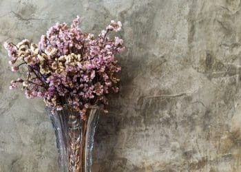 Ilustrasi Foto: Grid