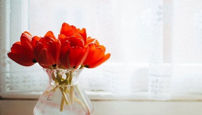 Tips untuk yang Tengah dimabuk Cinta 1 Ilustrasi Foto: Kompas