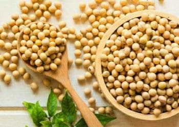 Manfaat Kacang Kedelai untuk Kesehatan 3