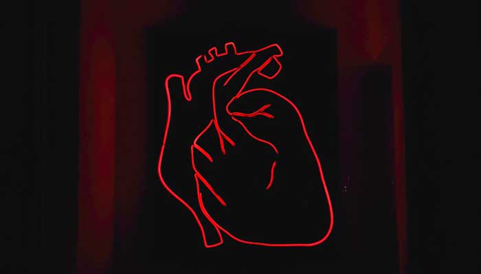 7 Cara Obati Hati yang Sakit 1 Foto: Unsplash