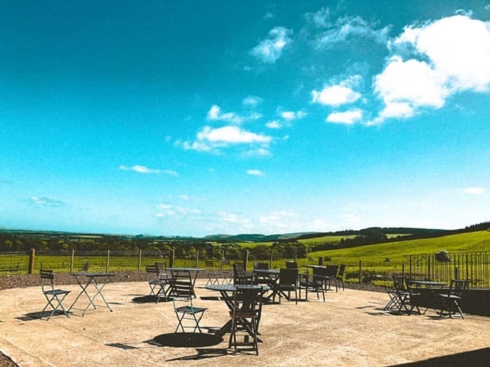 Ini Dia Sunnah Nabi yang Dipakai Banyak Perusahaan di Dunia 1 Ilustrasi. Foto: Unsplash