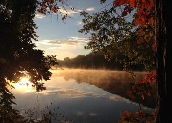 Ilustrasi. Foto: Unsplash