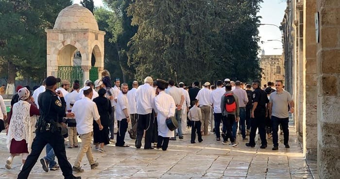 Gelar Ritual Talmud, Ratusan Pemukim Yahudi Geruduk Al Aqsha 1 Yahudi menggerebek Al Aqsha. Foto: PIC
