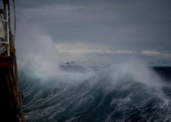 Ilustrasi. Foto: Unsplash