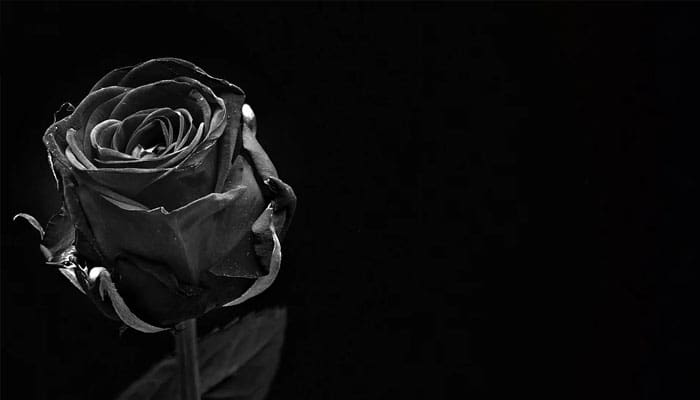 Begini Kedudukan Perempuan Sebelum Datangnya Islam 2 Penyebab Siksa bagi Wanita, Kedudukan Perempuan Sebelum Datangnya Islam