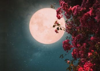 Pelajaran Surat Yasin, Surat Al-Lail, Khadijah, Cara Tidur Rasulullah, Wanita Arab, Tanda Melihat Malaikat, https://konsultasisyariah.com/, Perkara yang Bisa Menyeret Wanita ke Neraka, Hukum Hijab Punuk Unta, Hukum Konsumsi Pil Penunda Haid