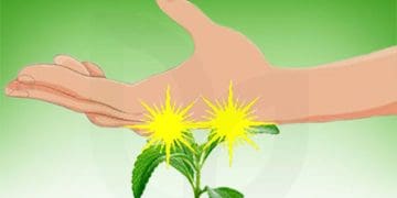 An Illustration When Nettle Sting The Skin