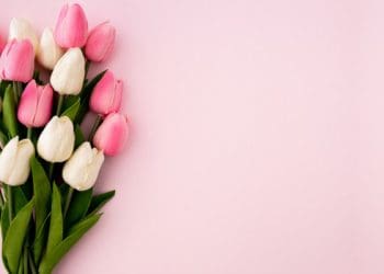 wanita menstruasi, Penyebab Hilangnya Kemuliaan Wanita, Hak Perempuan dalam Islam, Masa Haid Wanita