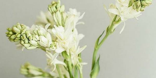 Kematian Mendadak, Adzab atau Kenikmatan? 1 Kematian Mendadak, Adzab atau Kenikmatan? 1 Mati