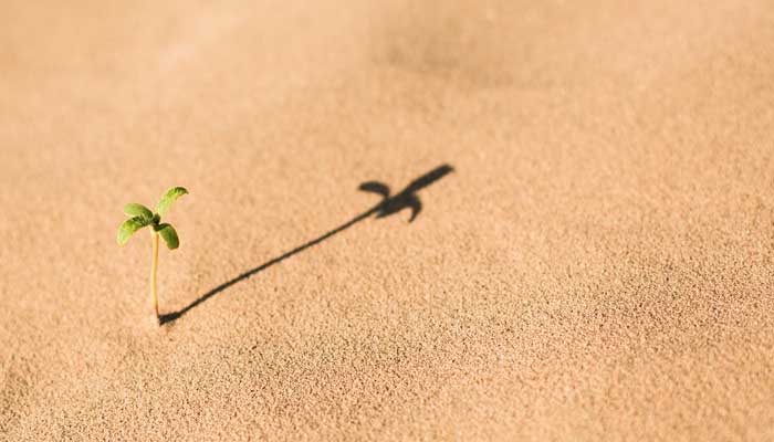 Harga Sebuah Nyawa dalam Islam 4 keutamaan mengikuti sunnah, Harga Sebuah Nyawa