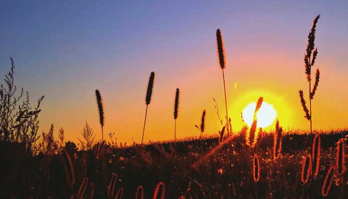Rasulullah ﷺ Adalah Guru Terbaik di Dunia, Ini 4 Alasannya 3 guru terbaik di dunia