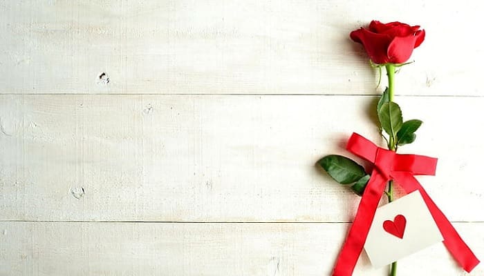 Cinta Sejati 2 bunga cinta sejati