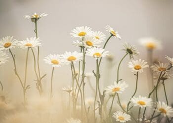 husnul khatimah, wujud malaikat, malaikat yang menyertai manusia,