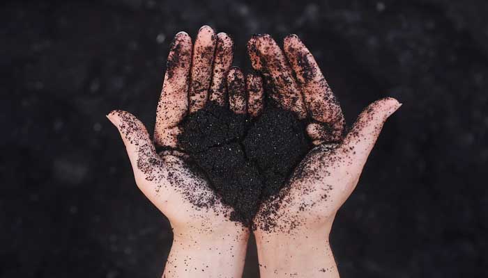 5 Penyakit Hati yang Tak Terlihat Tapi Membinasakan 1 jenis hati, hati