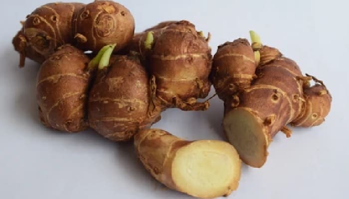 Direkomendasikan dr Zaidul Akbar, Ini 5 Bahan Herbal untuk Bentengi Diri dari Covid-19 4 Kencur herbal rekomendasi dr Zaidul Akbar