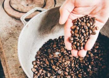 fakta menarik tentang indonesia, fakta kopi indonesia, kopi