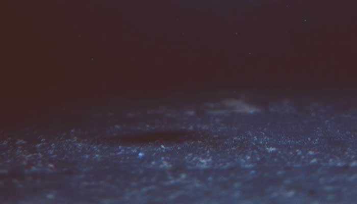 9 Fakta Laut Indonesia; Dari Produsen Ikan hingga Penyumbang Sampah 5 fakta laut indonesia