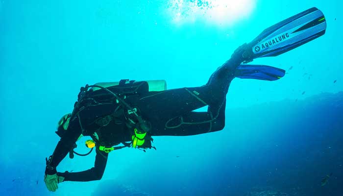 9 Fakta Laut Indonesia; Dari Produsen Ikan hingga Penyumbang Sampah 7 fakta laut indonesia