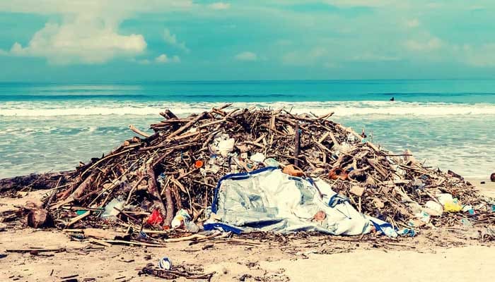 9 Fakta Laut Indonesia; Dari Produsen Ikan hingga Penyumbang Sampah 10 fakta laut indonesia