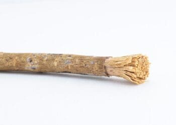 siwak sunah harian, manfaat siwak