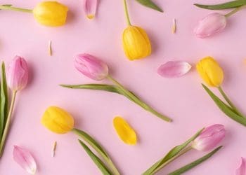 Nama Istri Nabi Muhammad