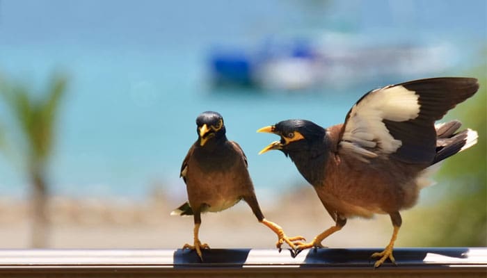 Keutamaan Menahan Marah