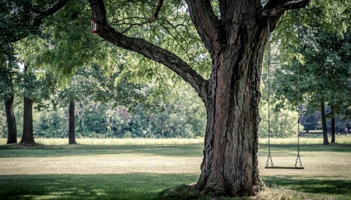 keutamaan istri yang taat pada suami