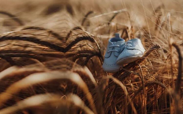 Hukum Menguburkan Ari-ari Bayi Baru Lahir