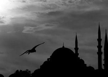 Manfaat Puasa Bagi Kesehatan, Kisah Nabi Sulaiman, Keutamaan Shalat Isya