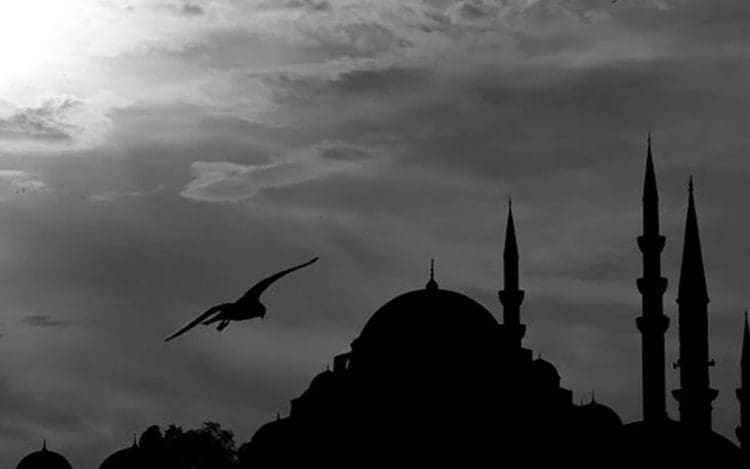Manfaat Puasa Bagi Kesehatan, Kisah Nabi Sulaiman, Keutamaan Shalat Isya