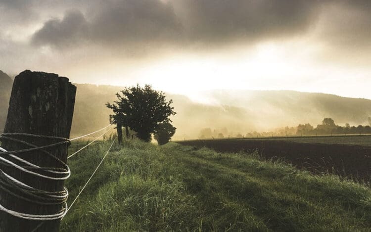 Inilah 4 Keutamaan Bertani dalam Islam yang Harus Diketahui Muslim 1 bertani dalam islam