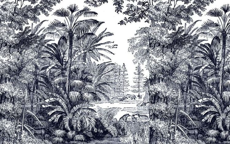 Sang Penebang Kayu dan Kapak yang Tak Pernah Diasah 1 Penebang kayu, Cara Istighfar Nabi