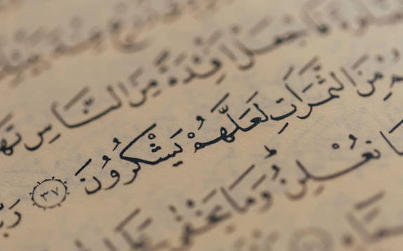 Inilah 9 Keutamaan Membaca Al-Quran, Muslim Wajib Tahu! 3 surat ar rahman, membaca al-quran