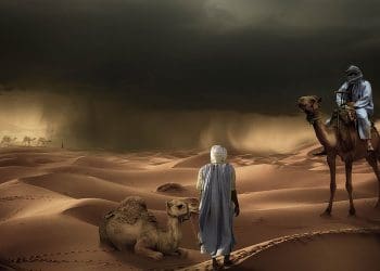 Fakta Nabi Yaqub, Nabi Yahya, Nabi Musa, Nabi Khidir, Wasiat Nabi Adam, Nabi Daud, Burung Hudhud, Nabi Isa, Bahira, Abu Thalib, Orang Shalih, Doa Nabi Ayyub, Nabi Ibrahim, Nabi Sulaiman, Musailamah al-Kazzab,, Abu Hurairah, Keutamaan Abu Bakar Shiddiq, Nabi Adam, Abul Hasan, Imam Hasan Al-Bashri, BACA JUGA: 2 Orang yang Berlainan, Ini Perbedaan Abu Lahab dan Abu Jahal, Khidir, Nabi Ibrahim