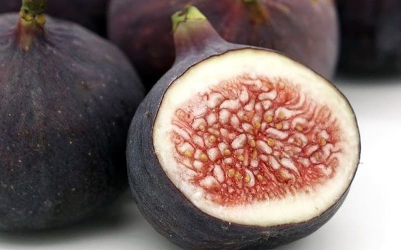 Inilah 14 Manfaat Buah Tin bagi Kesehatan 2 Manfaat Buah Tin