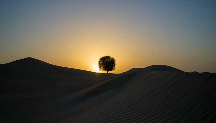 Bersikap Inshaf Terhadap Pendapat Ulama 1 surat al-baqarah, bertasbih, ulama, hidup, oksigen