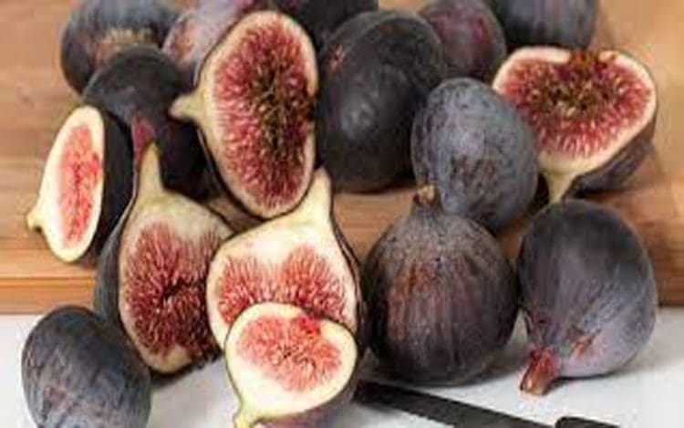 Manfaat Buah Tin