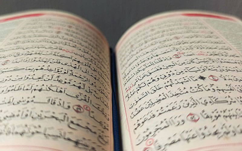 Kandungan dan Keutamaan Surat Al Mulk 3 surat al mulk